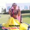 About Mera Yar Akela Tu Song