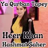 About Ya Qurban Tapey Song