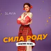 About Сила роду Song