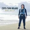 About Cinta Yang Hilang Song