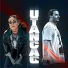 Utancaq