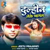 About Dulhin Leke Bhagal Song