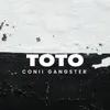 Toto