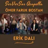 About Erik Dalı Song