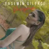 About Yaşıyorum Song