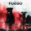 About FUEGO Song