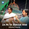 About Za Pa Ta Shaida Yam Song