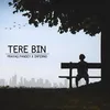 About TERE BIN Song