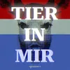 About Tier in mir Song