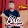 CINTA YANG HILANG