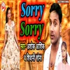 About Sorry Sorry Song