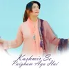 About Kashmir Se Paigham Aya Hai Song