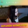 Dipanen Wong Liyo