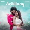 About Arikilaay Song