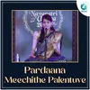 About Pardaana Meechithe Palentuve Song