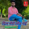 Dil Mero Tod Gayi