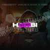 About Habibi Song