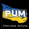 About Chervona kalyna Song