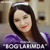 About Bog'larimda Song