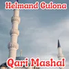 About Helmand Gulona Song