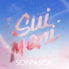 About Sui Meni Song