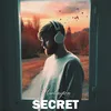 About Secret Song