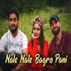 About Nale Nale Bagro Pani Song
