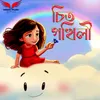 About Chit Pokhili Song