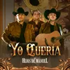 About Yo Quería Song