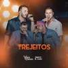 About Trejeitos Song