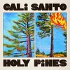 Holy Pines