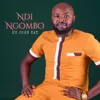 About Ndi Ngombo Song