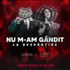 About Nu m-am gandit la despartire Song