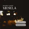 About Mesela Song