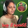 About Pilla Ne Undalene Song