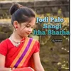 About Jodi Palo Sangi Itha Bhatha Dj Remix Song