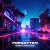 About Forgotten Song