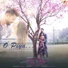 About O Piya Song