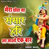 About Mera Chhota Sa Sansar Hari Aa Jao Ek Baar Song