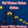 About Tol Watan Gulan Gulan Song