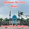 About Shaheen Da Toro Gharo Song