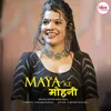 About Maya Ke Mohani Song