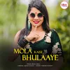 About Mola kaise bhulaaye Song