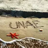 About UNAE Song