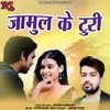 About Jamul Ke Turi Song