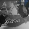 About Жестоко е Song