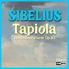 Tapiola in B Minor, Op.112
