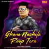 About Ghana Nashile Roop Tera Song