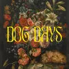 About Dog Days Song