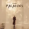 About Paladins Song